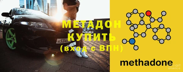 сатива Новокубанск
