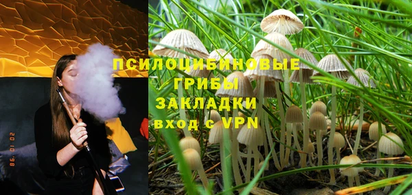 сатива Новокубанск