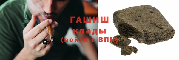 сатива Новокубанск
