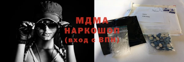 сатива Новокубанск