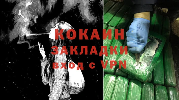 МДПВ Нея