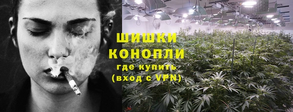 ECSTASY Богородск