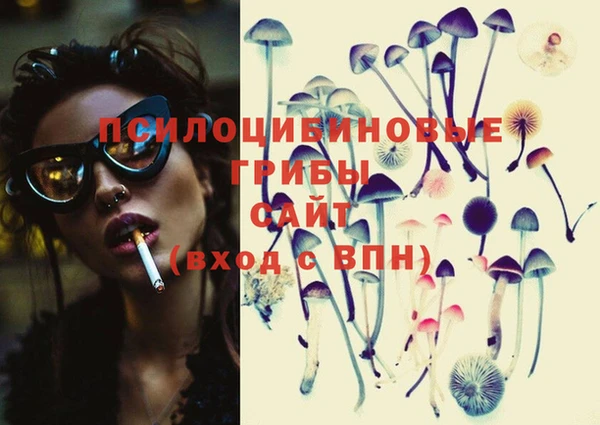 экстази Богданович