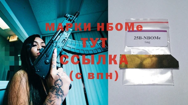 сатива Новокубанск