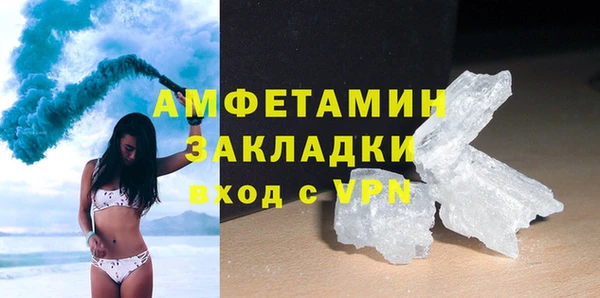 сатива Новокубанск