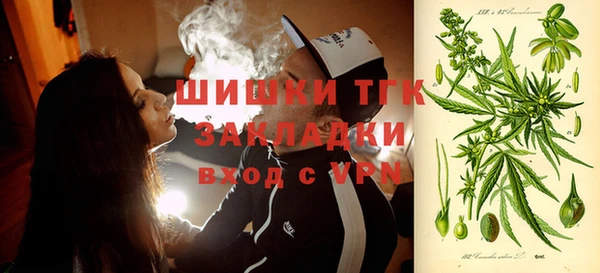 сатива Новокубанск